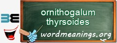 WordMeaning blackboard for ornithogalum thyrsoides